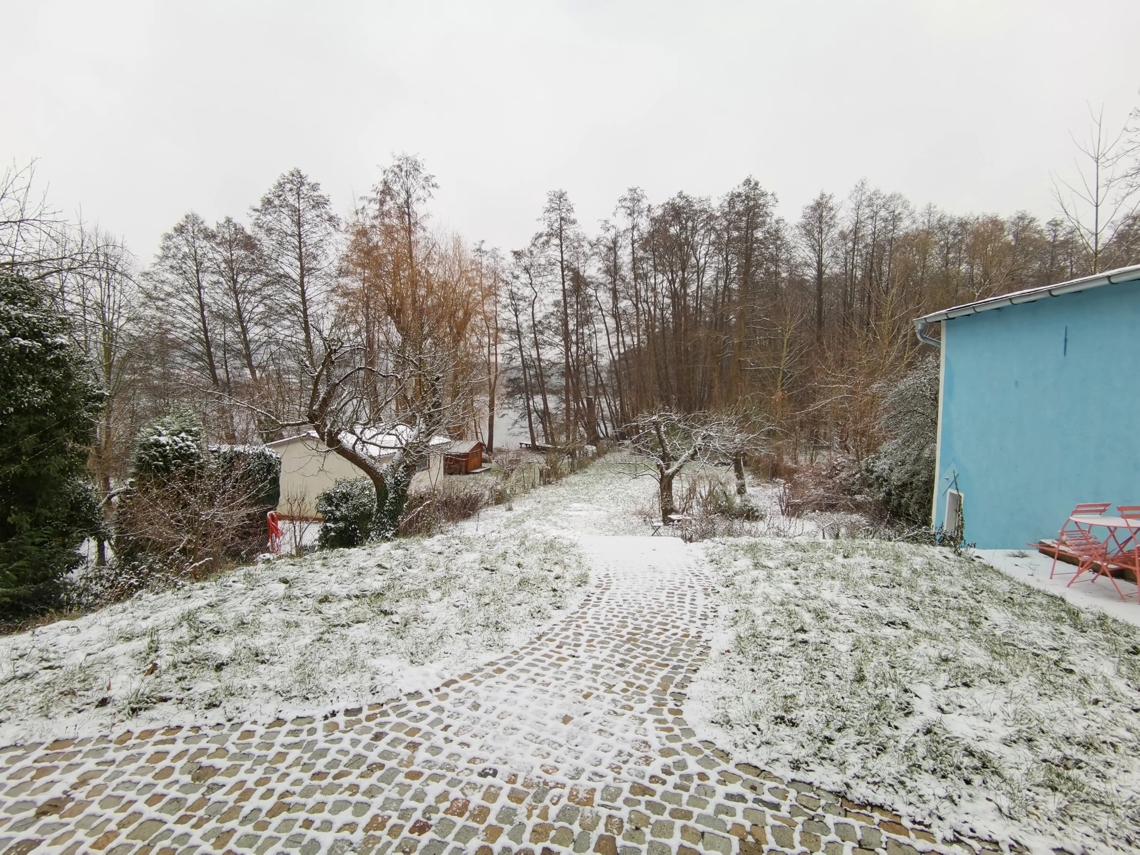 Image rezension-zu-thomas-bernhard-frost