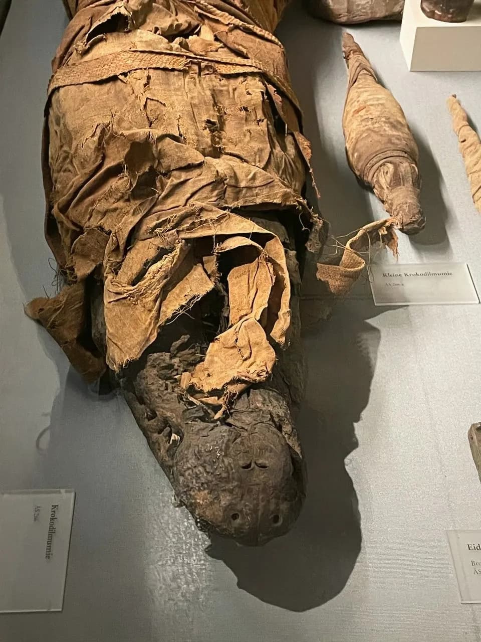 Image rezension-zu-werner-fritsch-nofretete